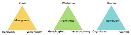 Grafik zum Artikel 'Wider das lineare Denken'