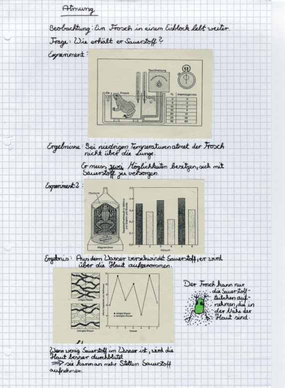 Protokoll von Angelika